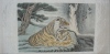 Тигрица с тигренком на фоне водопада